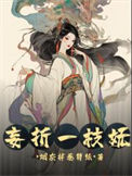 《妄折一枝妩》封面
