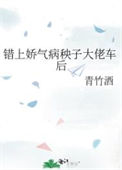 《错上娇气病秧子大佬车后》封面