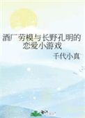 《（综漫同人）酒厂劳模与长野孔明的恋爱小游戏》封面