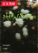 《玫瑰遇野风》封面