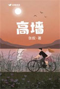 《高墙》封面