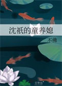 《沈祇的童养媳》封面