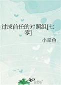 《过成前任的对照组[七零]》封面