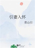 《引妻入怀》封面