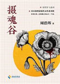 《摄魂谷（出书版）》封面