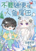《不要随便摸人鱼的尾巴》封面