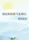 《被迫和前驸马复婚后》封面