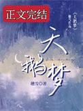 《天鹅梦》封面