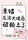 《笨蛋美人撩错反派大佬后》封面