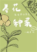 《我在单位带薪养花种菜》封面