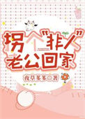 《拐个“非人”老公回家》封面