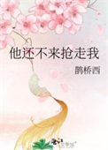 《他还不来抢走我》封面