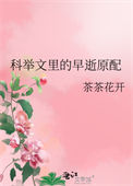 《科举文里的早逝原配》封面