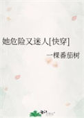 《她危险又迷人[快穿]》封面