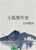《小狐狸外室》封面