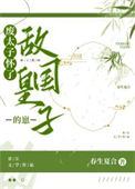 《废太子怀了敌国皇子的崽》封面
