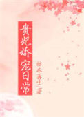 《贵妃娇宠日常》封面