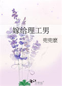 《嫁给理工男》封面