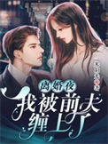 《离婚夜，我被前夫缠上了》封面
