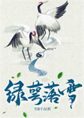 《绿萼落雪》封面