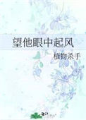 《望他眼中起风》封面