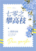 《七零之攀高枝》封面