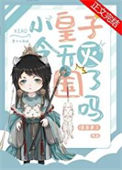 《小皇子今天被灭国了吗》封面