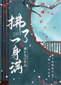 《拂了一身满》封面