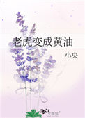 《老虎变成黄油》封面
