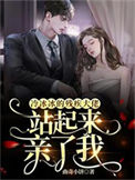 《冷冰冰的残疾大佬站起来亲了我》封面