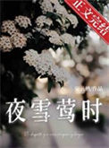 《夜雪莺时[[先婚后爱]》封面