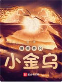 《偷偷养只小金乌》封面