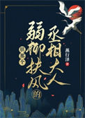 《朕那个弱柳扶风的丞相大人》封面