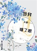 《当我夫君瞎了眼》封面