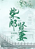 《柴郎贤妻（种田文）》封面