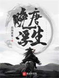 《晚唐浮生》封面