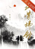 《我们散修，一身反骨》封面