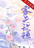 《雾失玫瑰》封面