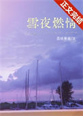 《雪夜燃情》封面