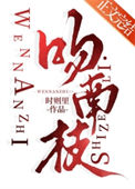 《吻南枝》封面