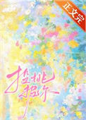 《投桃报你》封面
