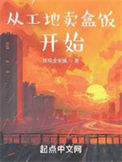 《从工地卖盒饭开始》封面