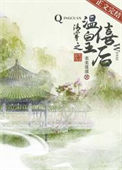 《清穿之独揽君心》封面