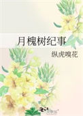 《月槐树纪事》封面