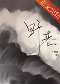 《野巷》封面