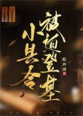 《小县令被迫登基（基建）》封面
