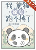 《我，熊猫，揣崽跑不掉了》封面