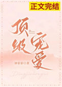 《顶级宠爱》封面