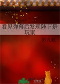 《看见弹幕后发现陛下是玩家》封面