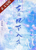 《春风不入夜》封面